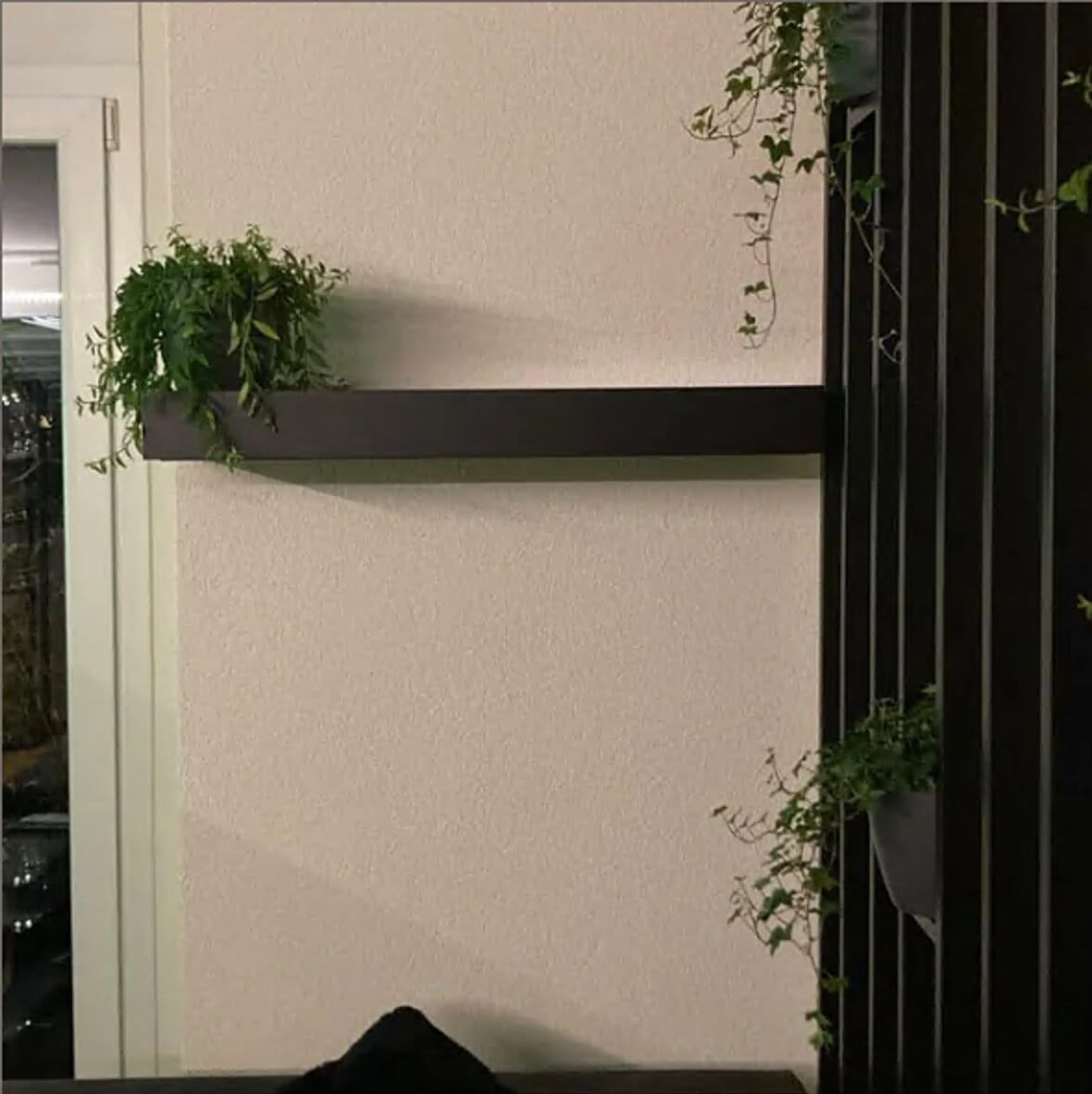 Photos_for_gallery_19.jpg