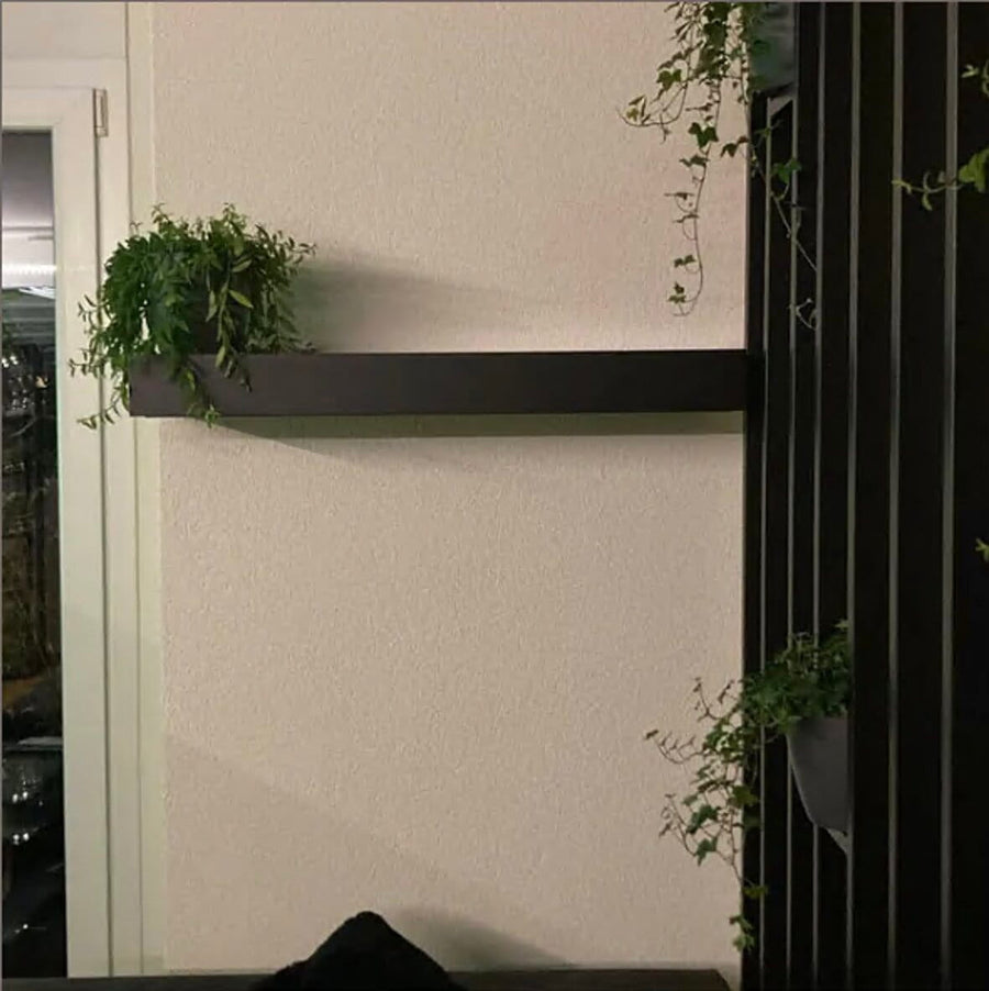 Black floating Hiddo wall shelf with plant